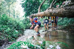 BIB: 
                            <button type="button" onclick="openModal(25455386)" class="btn btn-primary btn-sm float-right btn-popup" data-toggle="modal" data-target=".modal-high-quality">
                        <i class="fas fa-shopping-cart"></i> Add to Cart
                    </button>
                                            <button type="button" onclick="isThisMe(25455386, true)" class="btn btn-success btn-sm float-right btn-popup btn-isme hidden" data-toggle="tooltip" data-placement="bottom" title="นี่คือรูปของคุณใช่ไหม คลิกที่นี่เพื่อเอาเข้าอัลบั้ม">
                        <i class="fas fa-plus"></i> Add to album
                    </button>
                    <button type="button" onclick="isThisMe(25455386, false)" class="btn btn-warning btn-sm float-right btn-popup btn-isnotme hidden">
                        <i class="fas fa-ban"></i> Remove from album
                    </button>